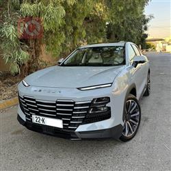 جيتور داشينج